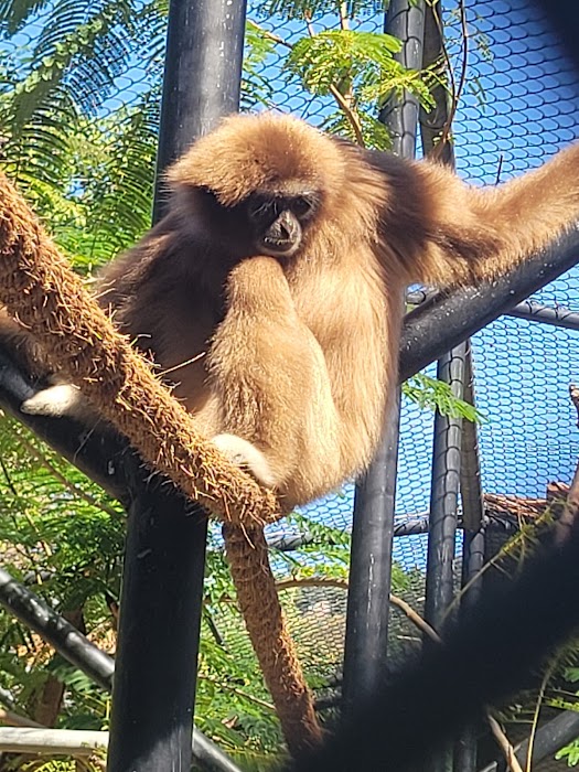 Hope Zoo Preservation Foundation