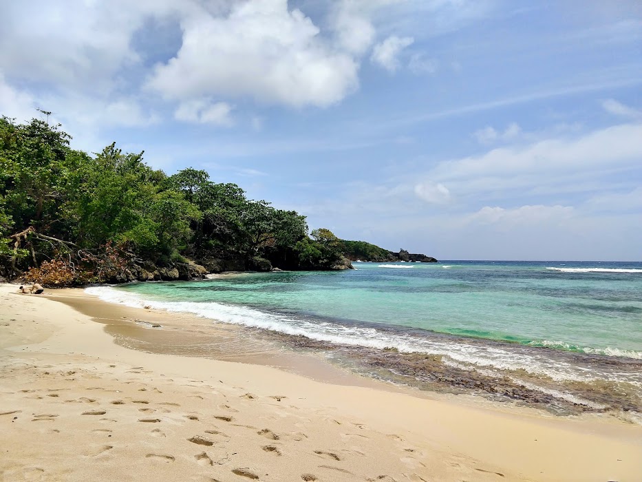 Winnifred Beach