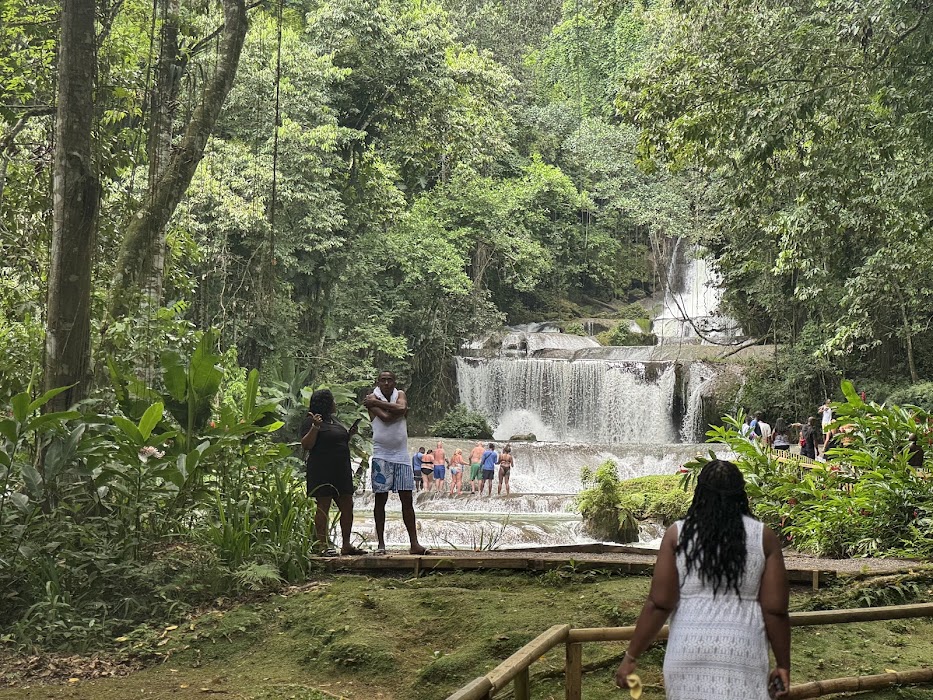Chukka Zipline over YS Falls