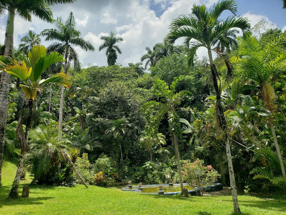 Castleton Botanical Gardens