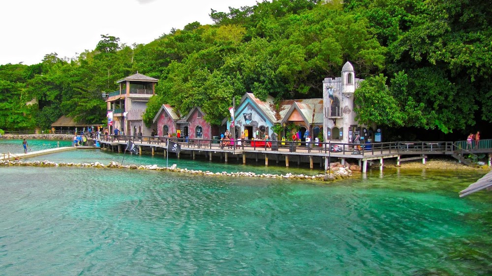Dolphin Cove Ocho Rios