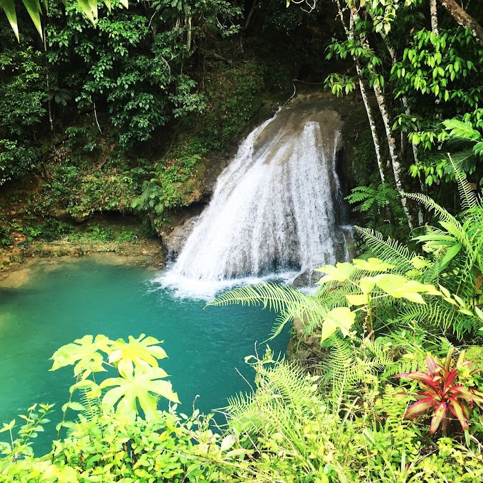 Island Gully Falls
