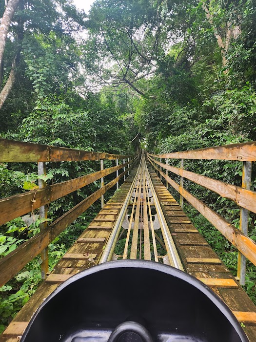 Jamaican Bobsled Rollercoaster